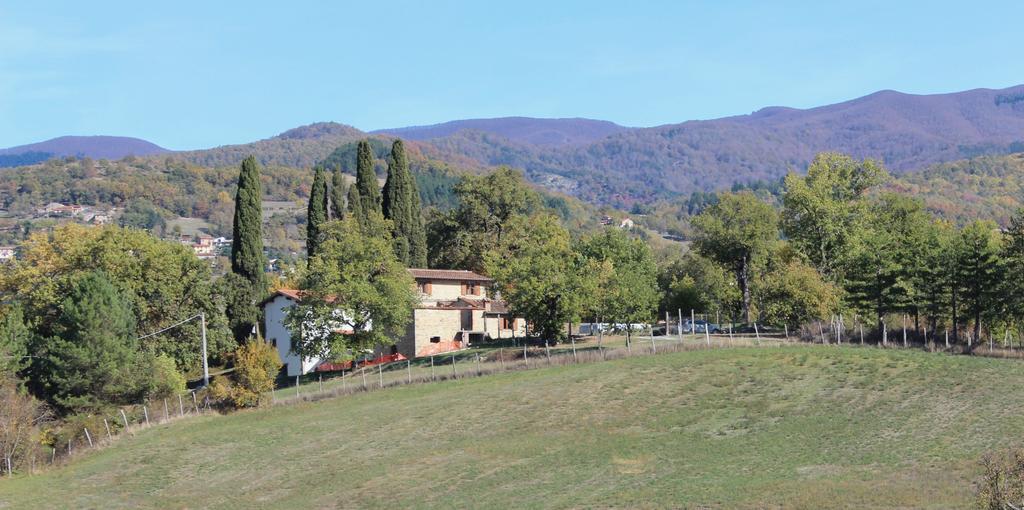 Agriturismo Mandrioli Pratovecchio Dış mekan fotoğraf