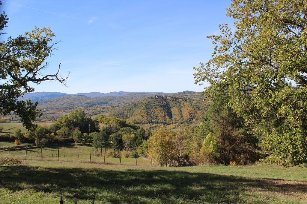 Agriturismo Mandrioli Pratovecchio Dış mekan fotoğraf