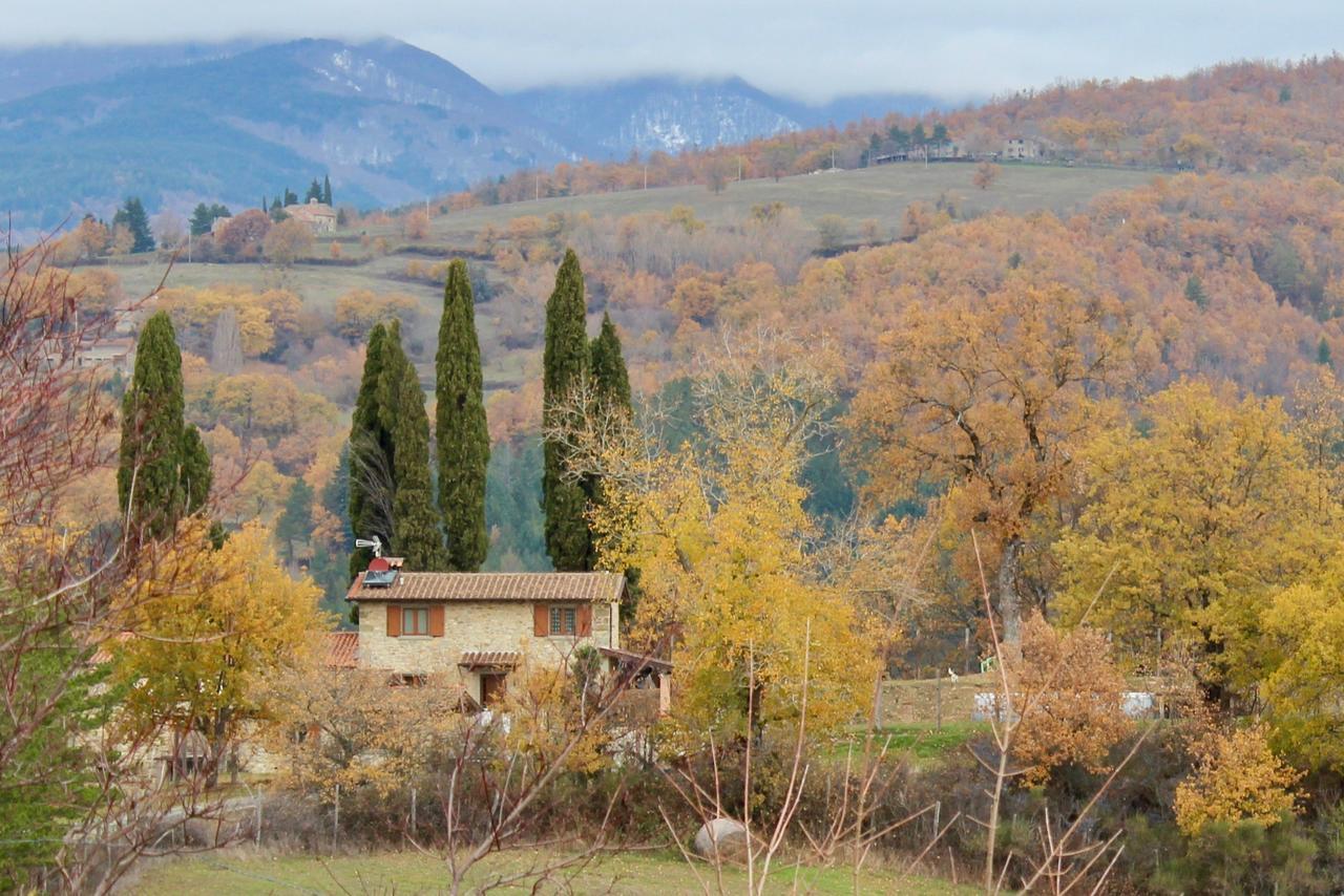 Agriturismo Mandrioli Pratovecchio Dış mekan fotoğraf